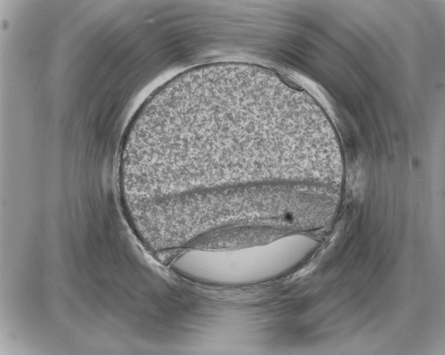 X0000085771149200704131757