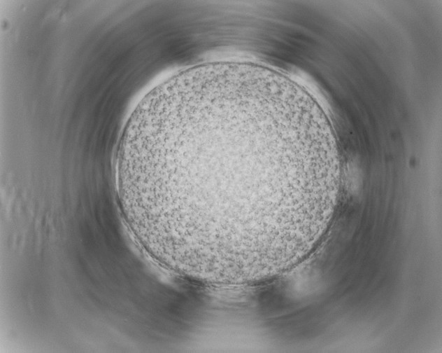 X0000085771150200704131757