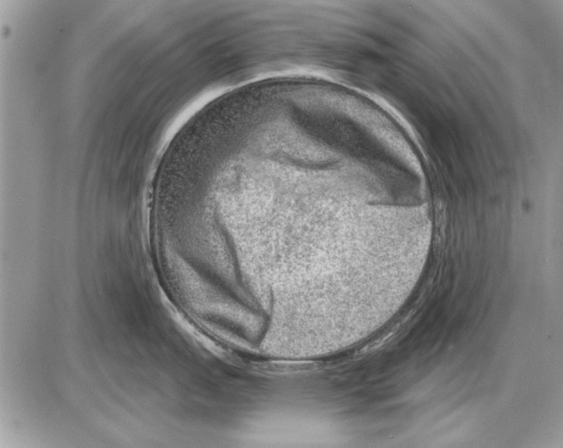 X0000085771151200704131757