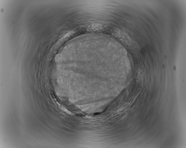 X0000085771153200704131756