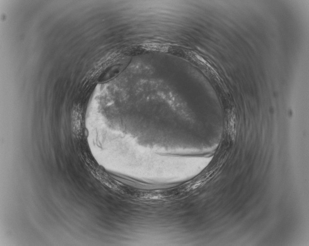 X0000085771154200704131756