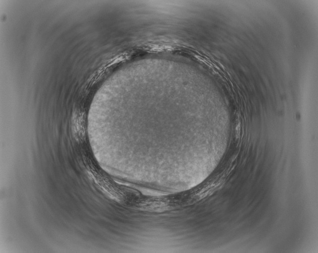 X0000085771156200704131756