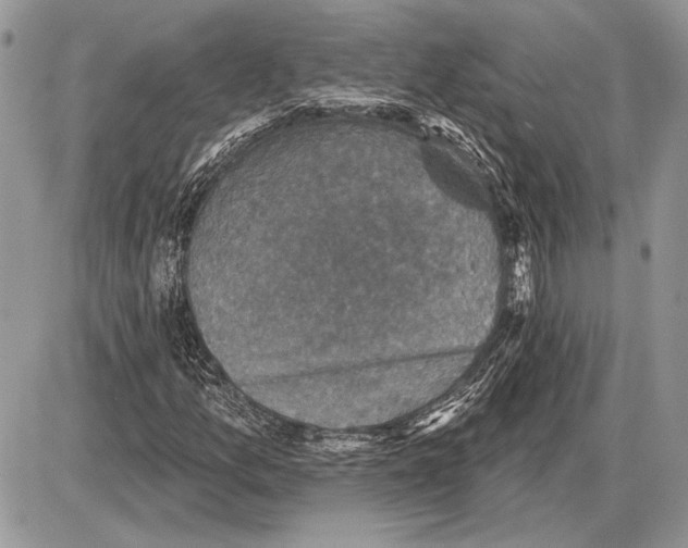 X0000085771157200704131756