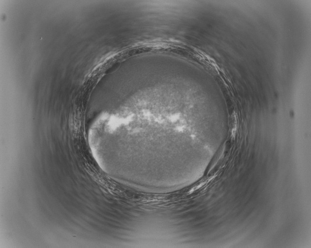 X0000085771158200704131756