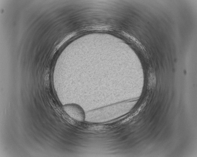 X0000085771162200704131756