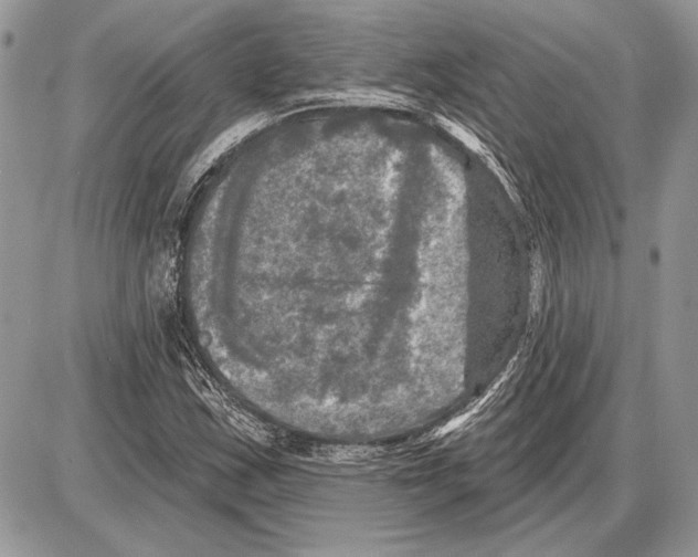 X0000085771163200704131756