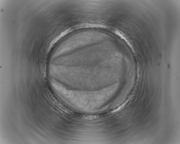 X0000085771165200704131756