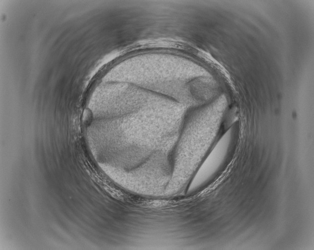 X0000085771166200704131756