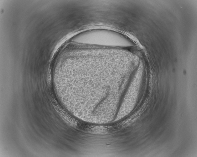 X0000085771167200704131756