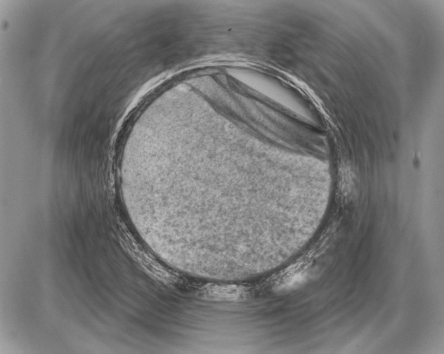 X0000085771168200704131756