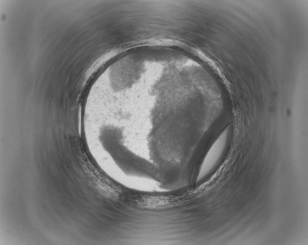 X0000085771171200704131756