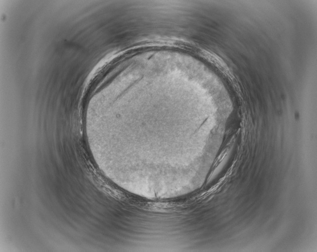 X0000085771172200704131756