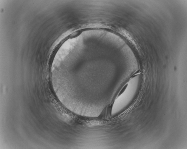 X0000085771173200704131756