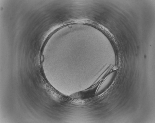 X0000085771174200704131756