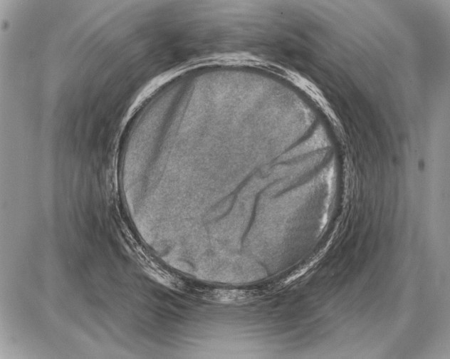 X0000085771176200704131756