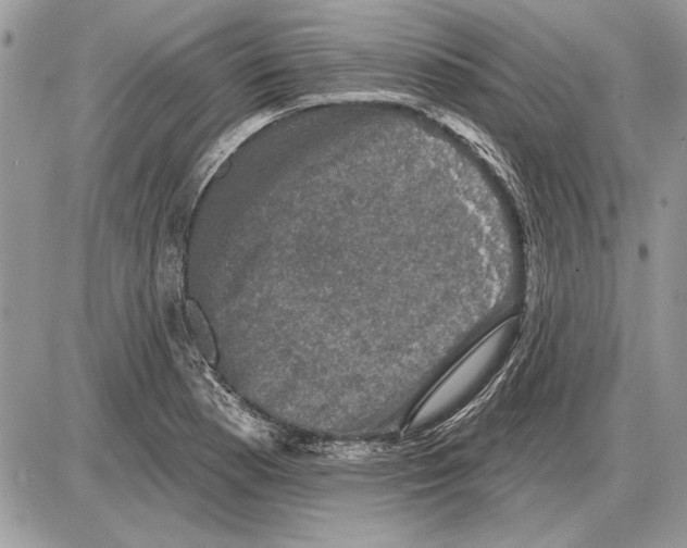 X0000085771177200704131756