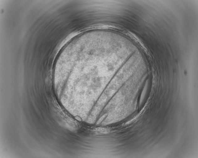 X0000085771178200704131756