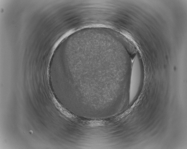 X0000085771181200704131756