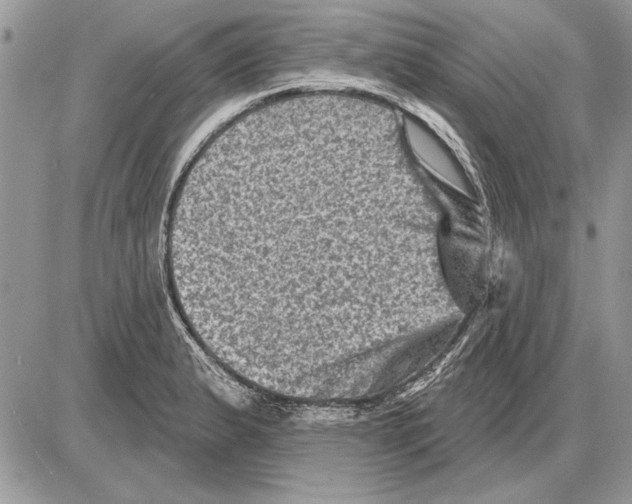 X0000085771183200704131756