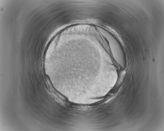 X0000085771184200704131755