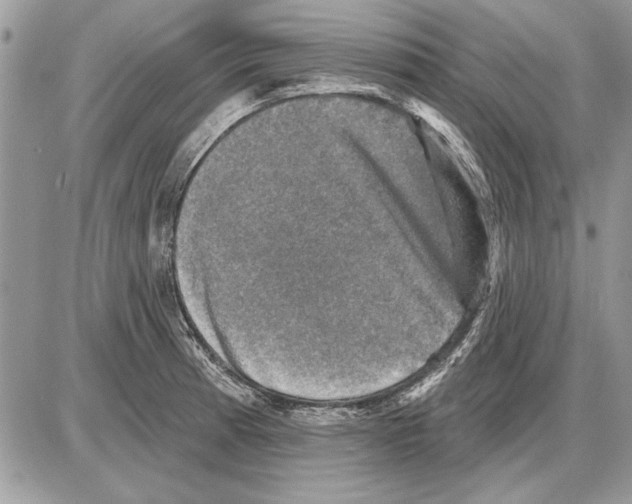 X0000085771185200704131755