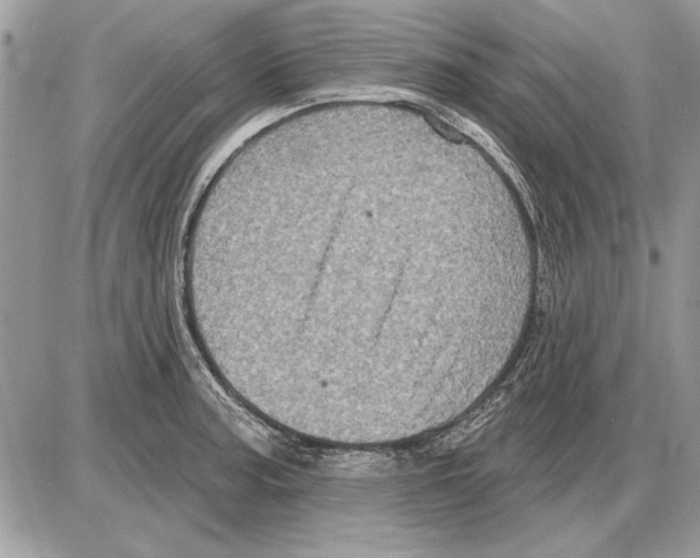 X0000085771187200704131755