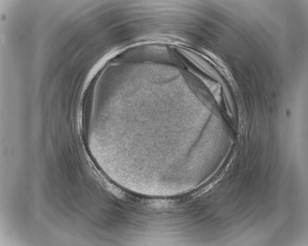 X0000085771188200704131755