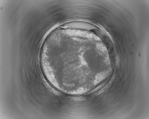 X0000085771189200704131755