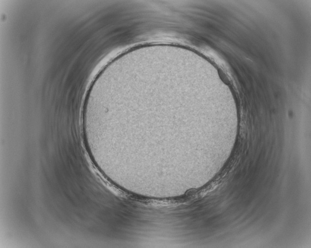 X0000085771191200704131755