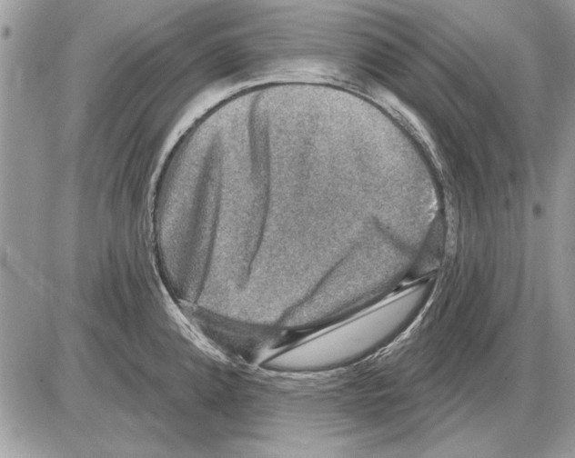 X0000085771192200704131755