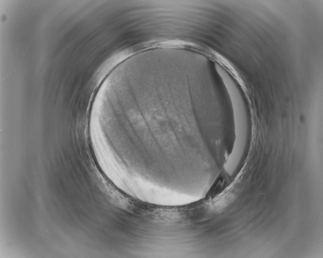 X0000085771194200704131755