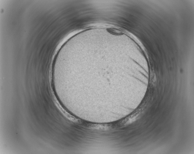 X0000085771195200704131755