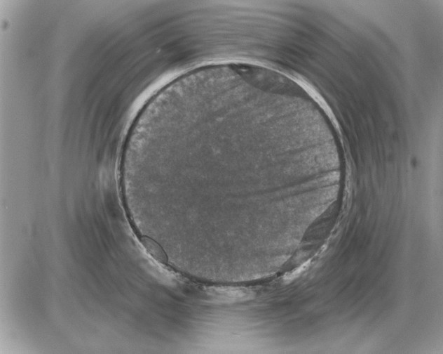 X0000085771197200704131755