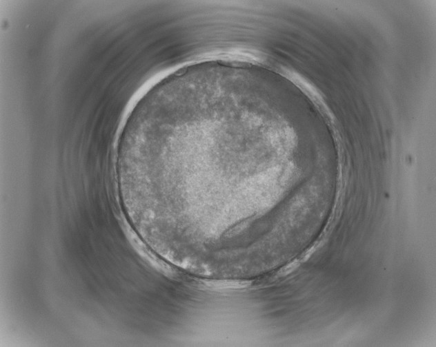 X0000085771200200704131755