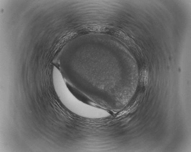 X0000085771202200704131754