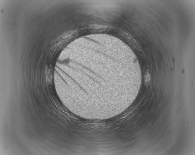 X0000085771204200704131754