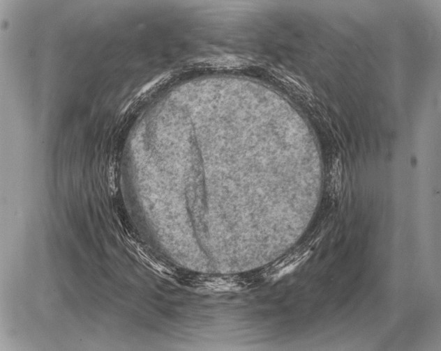 X0000085771205200704131754