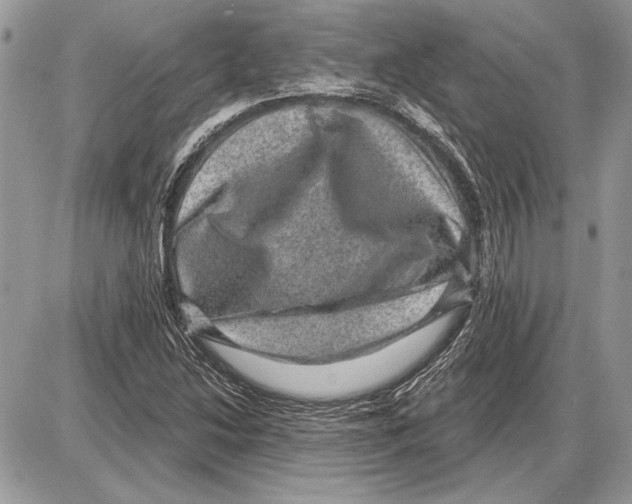 X0000085771214200704131755