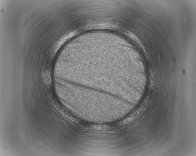 X0000085771218200704131755