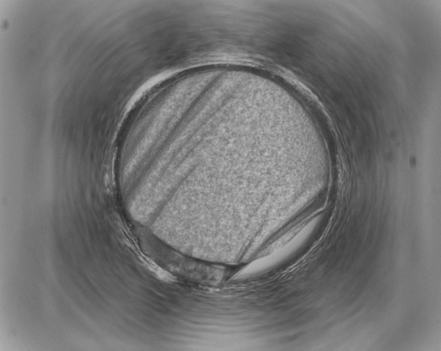 X0000085771222200704131755