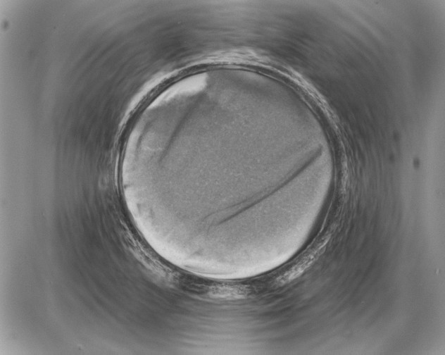 X0000085771224200704131755