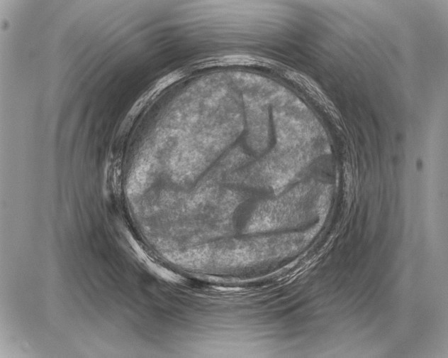 X0000085771225200704131755