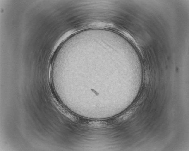 X0000085771227200704131755