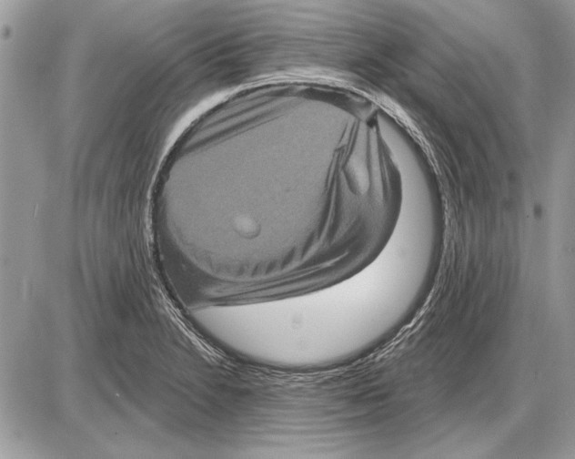 X0000085771230200704131755