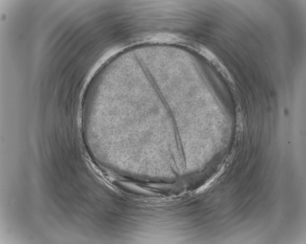 X0000085771232200704131755