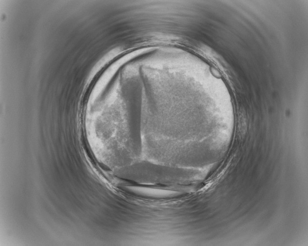 X0000085771235200704131755