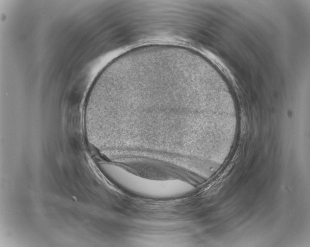 X0000085771238200704131755