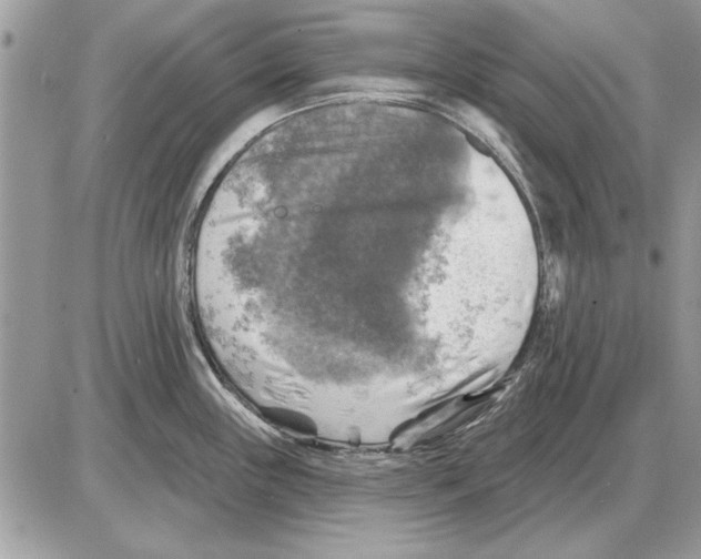 X0000085771243200704131755