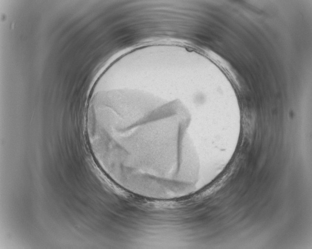 X0000085771244200704131755