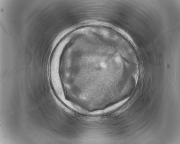 X0000085771247200704131755